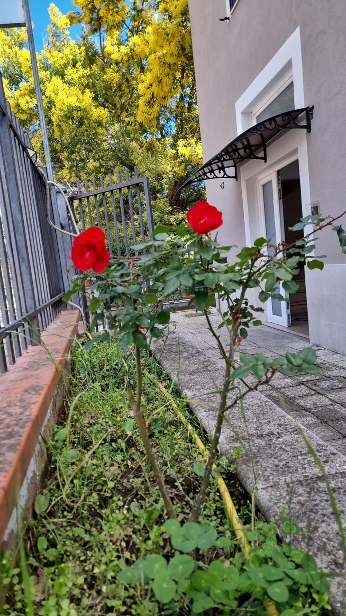 B&B White House Melfi Esterno foto